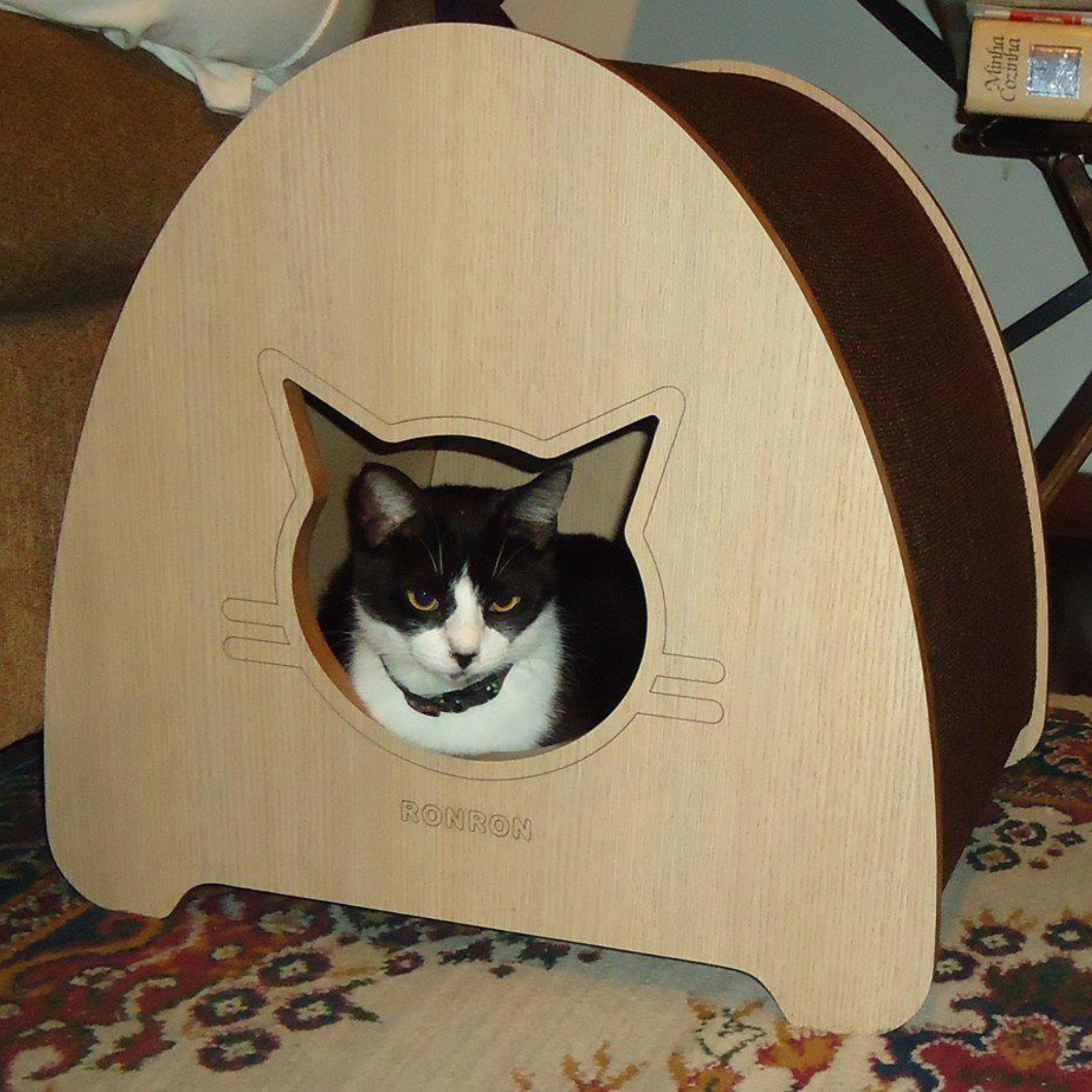 Capelinha•-• - Imagem 2