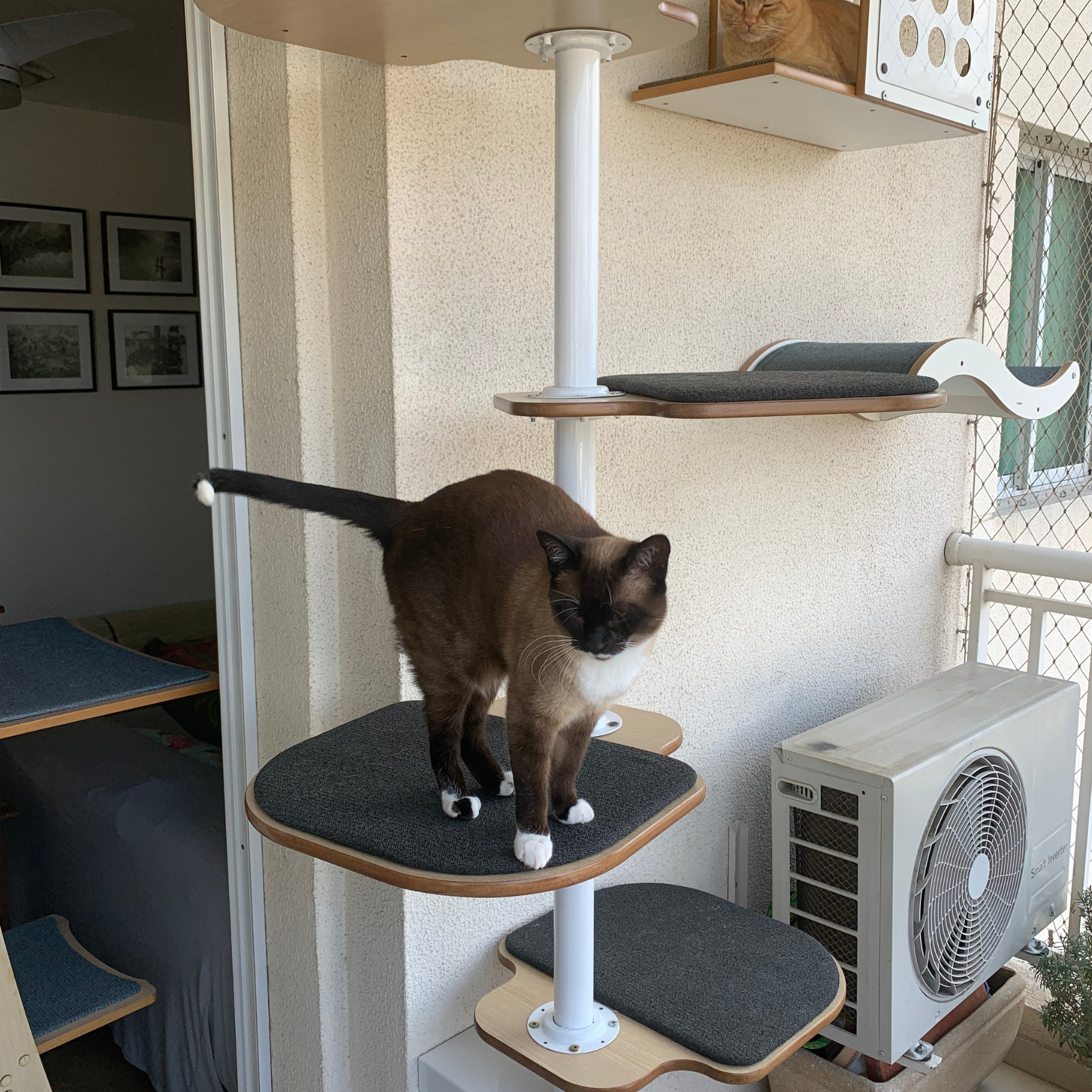 Poletree 5 prateleiras •_• - Imagem 2